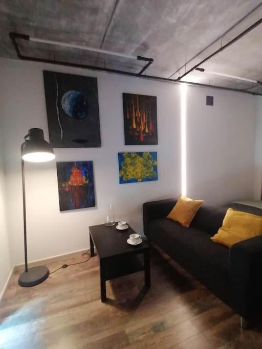 Erdvi Studija Spacious Studio Apartment Self Check In Wilno Zewnętrze zdjęcie